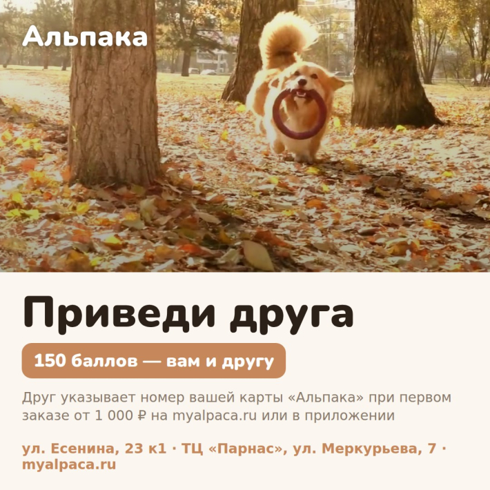 Приведи друга — 150 баллов вам и другу